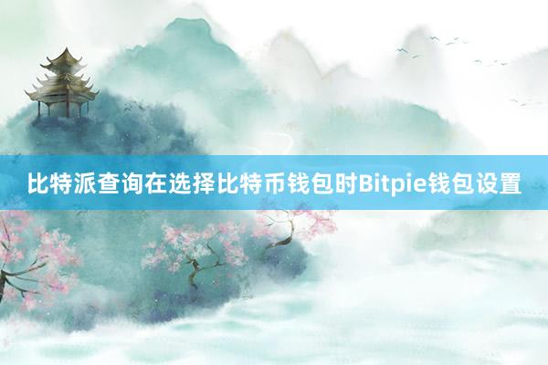 比特派查询在选择比特币钱包时Bitpie钱包设置