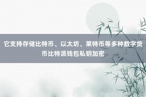 它支持存储比特币、以太坊、莱特币等多种数字货币比特派钱包私钥加密