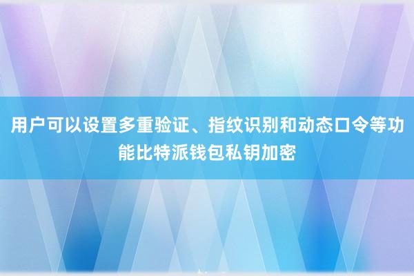 用户可以设置多重验证、指纹识别和动态口令等功能比特派钱包私钥加密