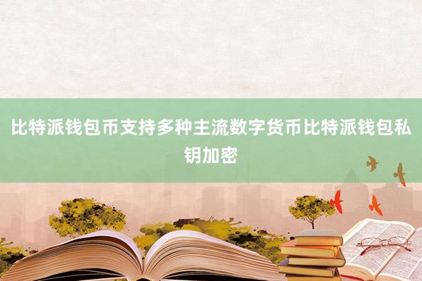 比特派钱包币支持多种主流数字货币比特派钱包私钥加密