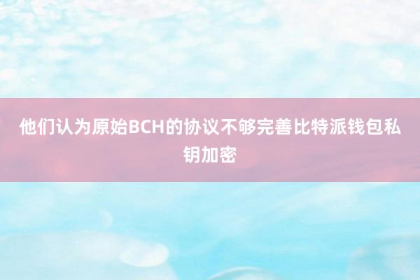 他们认为原始BCH的协议不够完善比特派钱包私钥加密