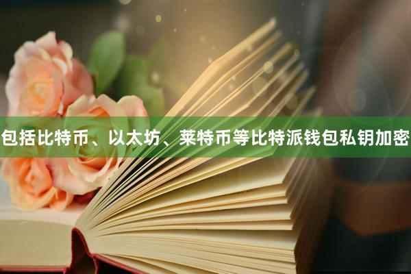 包括比特币、以太坊、莱特币等比特派钱包私钥加密