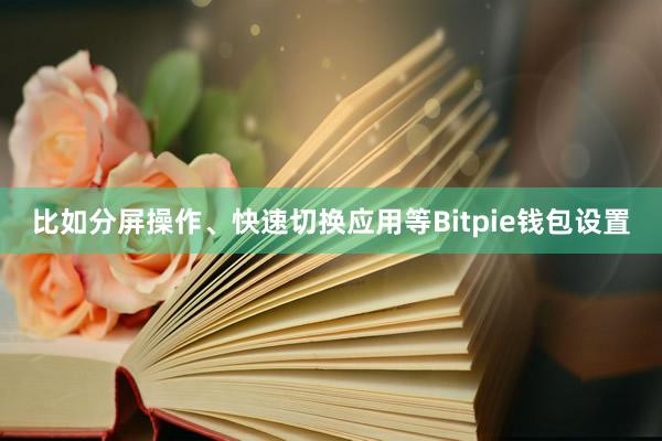 比如分屏操作、快速切换应用等Bitpie钱包设置