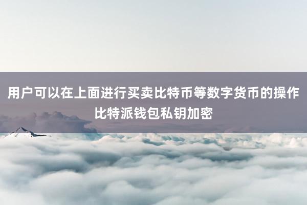 用户可以在上面进行买卖比特币等数字货币的操作比特派钱包私钥加密