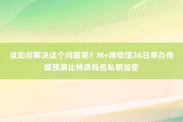 该如何解决这个问题呢？M+博物馆26日举办传媒预展比特派钱包私钥加密