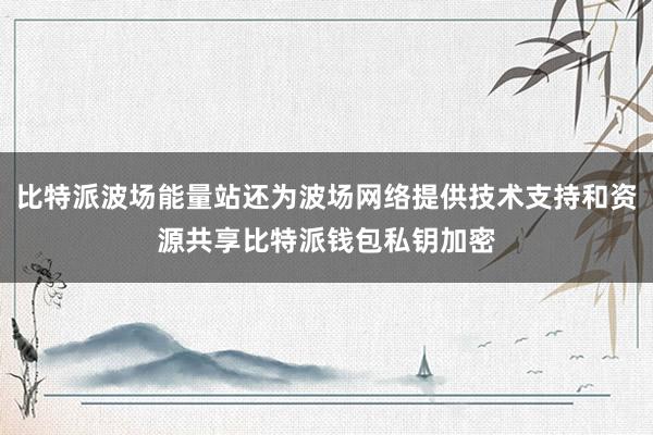 比特派波场能量站还为波场网络提供技术支持和资源共享比特派钱包私钥加密