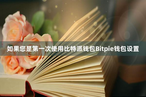 如果您是第一次使用比特派钱包Bitpie钱包设置