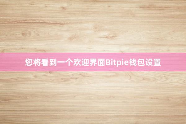 您将看到一个欢迎界面Bitpie钱包设置