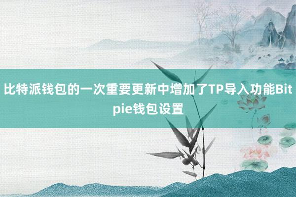 比特派钱包的一次重要更新中增加了TP导入功能Bitpie钱包设置