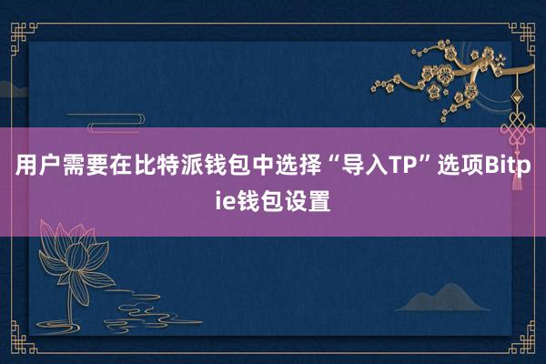 用户需要在比特派钱包中选择“导入TP”选项Bitpie钱包设置