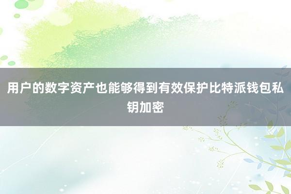 用户的数字资产也能够得到有效保护比特派钱包私钥加密