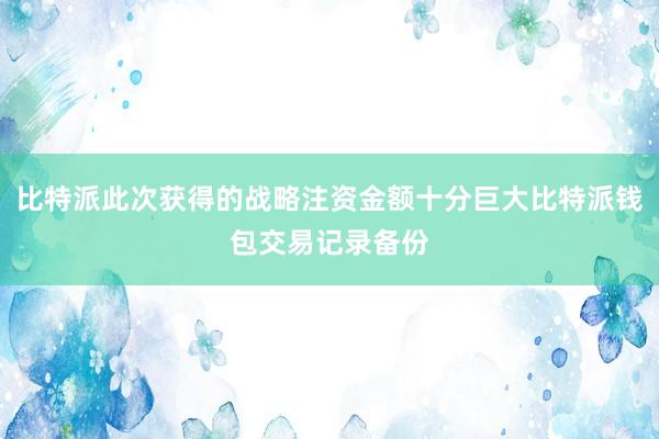 比特派此次获得的战略注资金额十分巨大比特派钱包交易记录备份