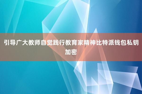 引导广大教师自觉践行教育家精神比特派钱包私钥加密