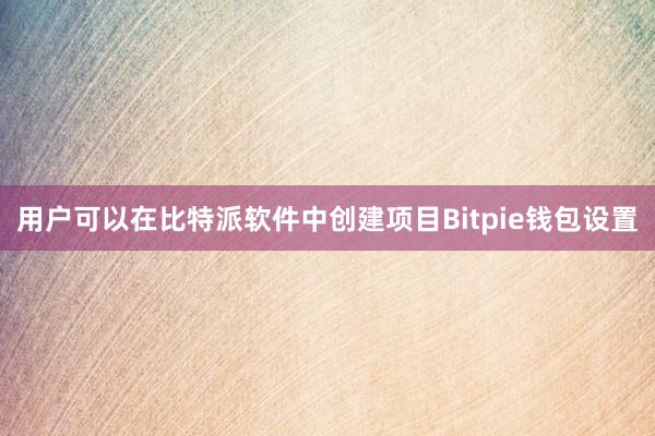 用户可以在比特派软件中创建项目Bitpie钱包设置