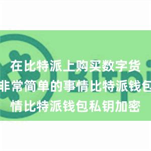 在比特派上购买数字货币是一件非常简单的事情比特派钱包私钥加密