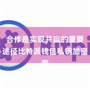 合作是实现共赢的重要途径比特派钱包私钥加密