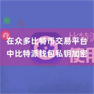 在众多比特币交易平台中比特派钱包私钥加密