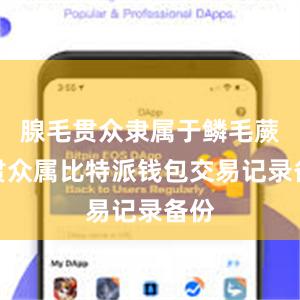 腺毛贯众隶属于鳞毛蕨科贯众属比特派钱包交易记录备份