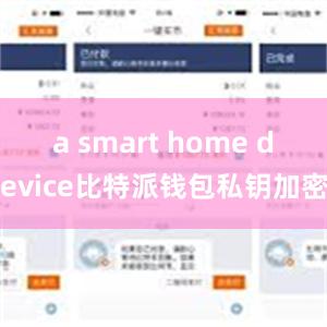 a smart home device比特派钱包私钥加密